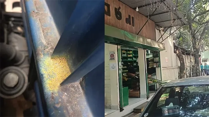 এবার মৎস্য উপদেষ্টার ব্যবসা প্রতিষ্ঠানে ককটেল নিক্ষেপ